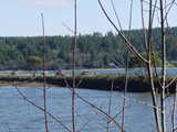 Click to see DSC00075.JPG