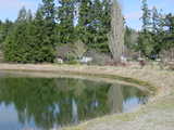 Click to see DSC00078.JPG