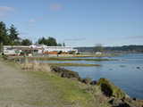 Click to see DSC00080.JPG