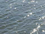 Click to see DSC00093.JPG