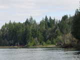 Click to see DSC00098.JPG