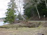 Click to see DSC00105.JPG