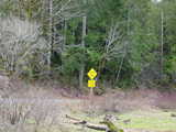 Click to see DSC00112.JPG