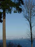 Click to see DSC00123.JPG