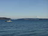 Click to see DSC00124.JPG