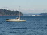 Click to see DSC00125.JPG