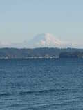 Click to see DSC00126.JPG