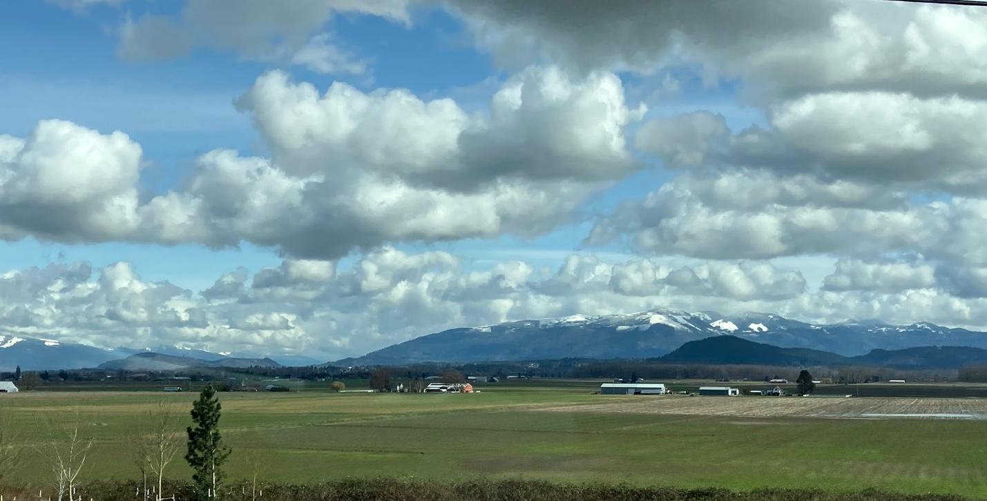 Skagit Valley